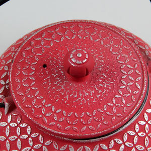 Bouilloire à thé en <span class=keywords><strong>fonte</strong></span> de qualité supérieure pour théière chinoise - Product Image 3