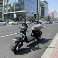 Scooter électrique à 2 roues 60V Citycoco pour adultes, directement de l'usine
