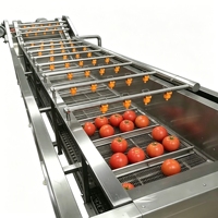 Commerciële standaard voor bubbelwasmachines voor de fruit- en groenteafdeling van supermarkten