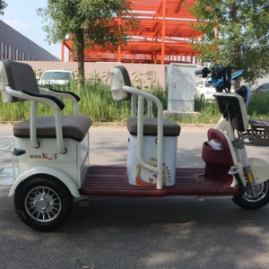 2025 MD triciclo elettrico per la casa piccolo triciclo per le donne auto elettrica per gli anziani tre ruote Scooter elettrico - Product Image 2