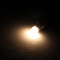 Ampoule à filament LED G9 3W 230V 110V avec alimentation en courant alternatif Utilisation résidentielle Lumière blanche froide Éclairage décoratif