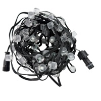 Guirlande lumineuse à pixels adressables 100 LED DC12V SK6812-RGBW IC, marque EVO, 12mm, 3 broches, fil noir 20AWG 10cm, 0.1W/Pixel, plat, IP67