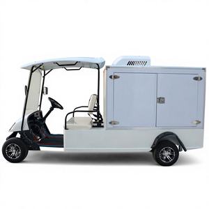 Nuevo Vehículo Eléctrico de Lujo, Mini Buggy Todoterreno de 48V con Batería de Plomo-Ácido, Carro de Golf Eléctrico de 2+2 Plazas con Motor de CA de 5KW - Product Image 1