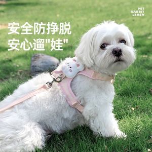 Dog leash, small dog <b>harness</b>, Teddy/Bichon Frise puppy leash, pet vest style dog chain - Product Image 1
