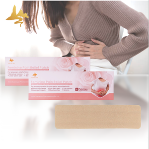 Patchs naturels aux herbes chinoises 2025 pour soulager les douleurs menstruelles – Gestion des crampes féminines – Plâtre traditionnel pour le soulagement des crampes - Product Image 1