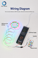 Lampu Strip LED COB Dream Color Addressable Tahan Air IP67 IP68 DC24V Outdoor Silicone Neon Flex RGBIC Pixel Chasing Ribbon