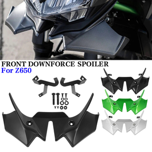 Cubierta extensora de rueda de extensión de carenado de pico de guardabarros delantero de motocicleta RACEPRO para <span class=keywords><strong>Kawasaki</strong></span> Z650 <span class=keywords><strong>2020</strong></span>-posterior - Product Image 2