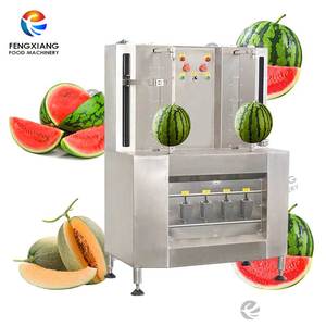 FXP-99 Dubbele Kop Fruitschiller Automatische Rockmelon Broodvrucht Jackfruit Watermeloenschilmachine - Product Image 1