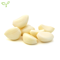 OEM/ODM de Alta Calidad, Venta Caliente, Fábrica China, Alimentos Vegetales Congelados para Venta al por Mayor y al por Menor, Ajos Congelados IQF en Rodajas y Puré