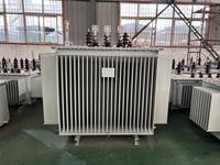 Transformateur de puissance immergé dans l'huile à bobines en cuivre et aluminium triphasé personnalisable, régulateur 50/60Hz AC