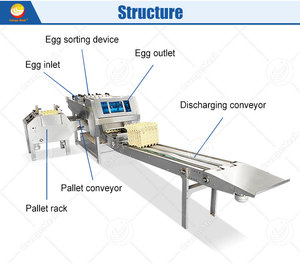 สายการผลิตสำหรับล้าง คัดแยก อบแห้ง และบรรจุไข่แบบครบวงจร - Product Image 5