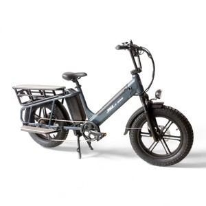 Chinois transportant 50 km/h longue queue double batteries E Bike Cargo gros pneus vélo cargo électrique - Product Image 1