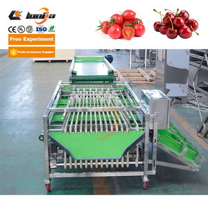 Máquina Clasificadora y Calibradora de Cerezas, Limones, Piñas y Aceitunas Industriales, con Rodillos Transportadores - Product Image 2