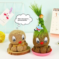 Poupée à Tête d'Herbe aux Grands Yeux, Créative, pour Enfants de Maternelle, Plante en Pot Petite et Intérieure à Planter Soi-même, Cadeau