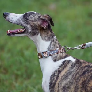 Nuevo diseño de collares de lujo para mascotas logotipo personalizado ajustable reflejo nocturno Nylon cachorro perro <span class=keywords><strong>Collar</strong></span> - Product Image 5