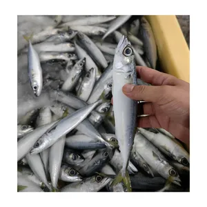 X125 8-10pcs/kg Frozen Pacific Mackerel IQF Scomber Japonicus Land Frozen Mackerel Fish