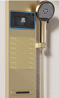 Panneau de douche numérique LED à poignée unique Fyeer, gris canon, thermostatique, avec jet de massage doux et pluie, surface brossée pour hôtels