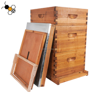 Boîtes de ruche d'abeilles Langstroth trempées à la cire à 3 couches 10 cadres ruches plates avec cadres