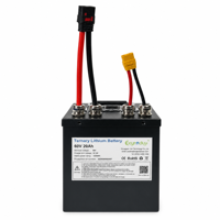 Baterai Lithium Isi Ulang 60V 20Ah 1200Wh NMC untuk Trike Drift Listrik, Buggy Rekreasi, dan Kendaraan Utilitas Ringan