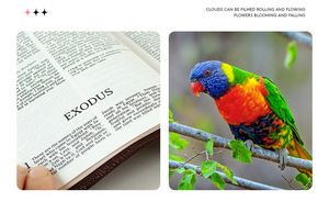 Benjie Mini Ảnh Kỹ Thuật Số Máy Ảnh Ngay Lập Tức Máy Ảnh Duy Nhất Với CMOS Yếu Tố Cảm Biến Cho Trẻ Em Và Sinh Viên - Product Image 3