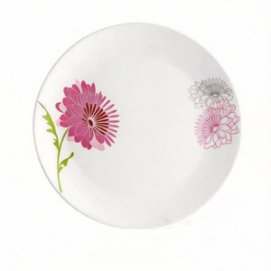 Ensemble <span class=keywords><strong>de</strong></span> 6 assiettes à <span class=keywords><strong>d</strong></span>îner en verre CorningWare Opal Stone vintage blanc, écologiques, 9 pouces - Design floral HARVIT - Product Image 6