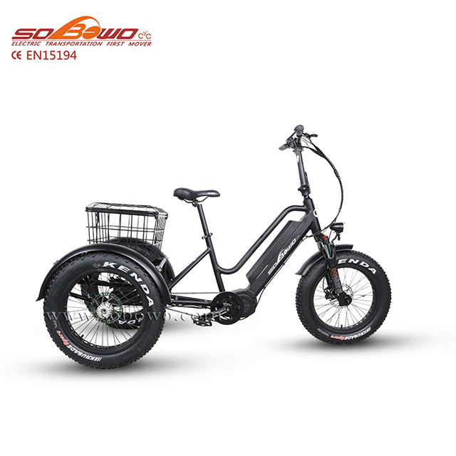 Electric Bike Three Wheel Bafang Mid Motor 750w Electric Bicycle with EN 15194