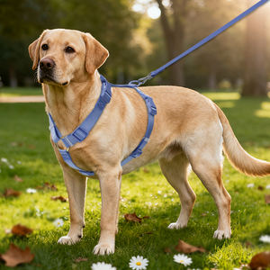 تصميم جديد لعام 2025: طوق كلاب خفيف الوزن وعصري، قابل للتخصيص باللون والحجم، سترة أمان للحيوانات الأليفة مبطنة وناعمة من النيوبرين مع مقبض مريح - Product Image 6