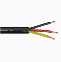 Câble d'alimentation RVV basse tension 1kV/0.6kV Lisheng, à usage décoratif intérieur, avec conducteur en cuivre multiconducteur, isolation en PVC et gaine en PE