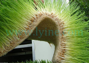 آلة إنبات الخضروات المائية بسعر تنافسي، جهاز زراعة البراعم الخضراء الدقيقة، آلة زراعة براعم الفاصوليا - Product Image 4