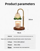 Lampe à cire fondante transfrontalière, diffuseur d'arômes style Instagram, lampe de table cadeau, sans fumée, à température réglable, style américain