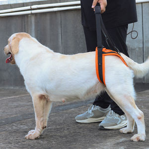 สายรัดขาสัตว์เลี้ยงสำหรับจูงสุนัข-สายรัดป้องกันขาหลังสำหรับผู้พิการหรือบาดเจ็บ-สายรัดช่วยเหลือสุนัขสูงอายุ - Product Image 5