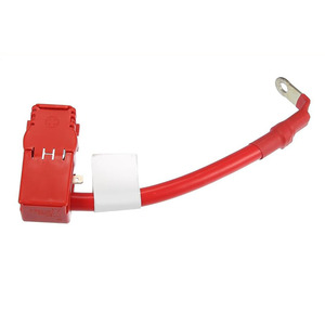 Cable de protección de batería Ll 61129391187 para BMW Serie 5 Serie 7, interruptor de circuito de falla de energía - Product Image 3