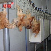 Ligne de production d'abattage de volailles à vendre - Usine d'abattage de poulets halal à chauffage vapeur