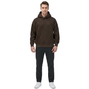 Vêtements pour hommes, sweats à capuche légers de style streetwear, taille standard, prix bas, faible MOQ, sweats à capuche pour hommes, sweats à capuche d'hiver pour hommes - Product Image 1