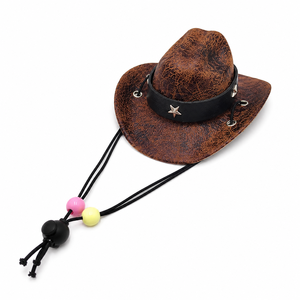 Chapeau de cowboy miniature Pafu pour oie, chien, chat, costume d'Halloween, chapeau de fête réglable, accessoires amusants pour photos d'animaux - Product Image 4
