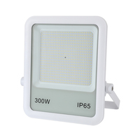 Projecteur haute efficacité 45000lm 300 Watts pour stade, terrain de jeux, route, avec corps en aluminium blanc pour extérieur