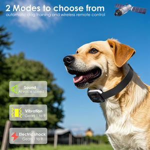 Extérieur Portable lPX6 étanche GPS sans fil chien clôture choc électrique collier d'entraînement chien confinement Svstem rayon 280 FT - Product Image 3