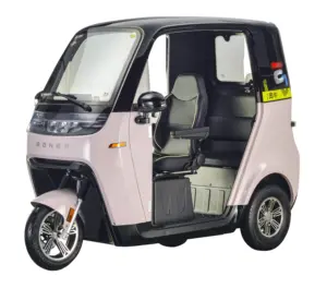 Factory Sale 3-Wheel Enclosed Electric Tricycle Adult Passenger Transport Scooter Without Door