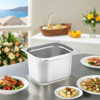 Récipient alimentaire en acier inoxydable de haute qualité de 200mm de profondeur nouveau Rectangle GN Pan pour une utilisation d'hôtel Équipement de service de restaurant et d'hôtel