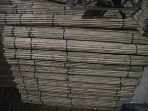 Materiais Brutos de Bambu, Cana de Bambu, Poste de Bambu para Plantas - Product Image 5