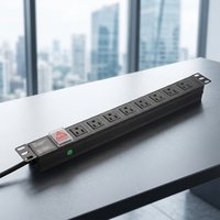 PDU de type américain 19 pouces pour montage en rack de serveur, protection contre les surtensions avec 10 prises 15A 110-120V, en alliage d'aluminium durable
