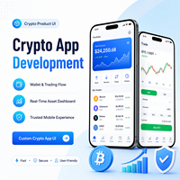 Desarrollo de Software ERP para la Industria Bancaria, Desarrollo de Software de Encriptación, Desarrollo de Aplicaciones de Criptografía, Desarrollo de Software para Desarrolladores