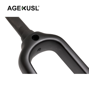 Pour <span class=keywords><strong>Brompton</strong></span> G Line vélo fourche avant <span class=keywords><strong>20</strong></span> <span class=keywords><strong>pouces</strong></span> frein à disque en Fiber de carbone à travers l'essieu M12x100mm pour le cyclisme urbain - Product Image 4