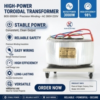 Transformateur de distribution toroïdal monophasé BOD-3000W 220V avec sortie 220V, bobinage en aluminium, 50/60Hz, bobine circulaire