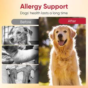 Chien <span class=keywords><strong>Allergies</strong></span> Soutien Doux À Mâcher Chien Démangeaisons Soulagement De La Peau Allergie Doux À Mâcher Suppléments Friandises Anti Itch Support pour Chiens - Product Image 5