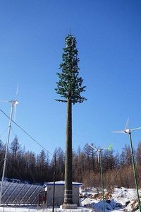 Torre de Telecomunicaciones Camuflada Tipo Árbol Biónico para 4G/5G, Mástil de Acero Galvanizado en Caliente con Tubo Redondo para Zonas Residenciales, Parques y Áreas Escénicas - Product Image 4