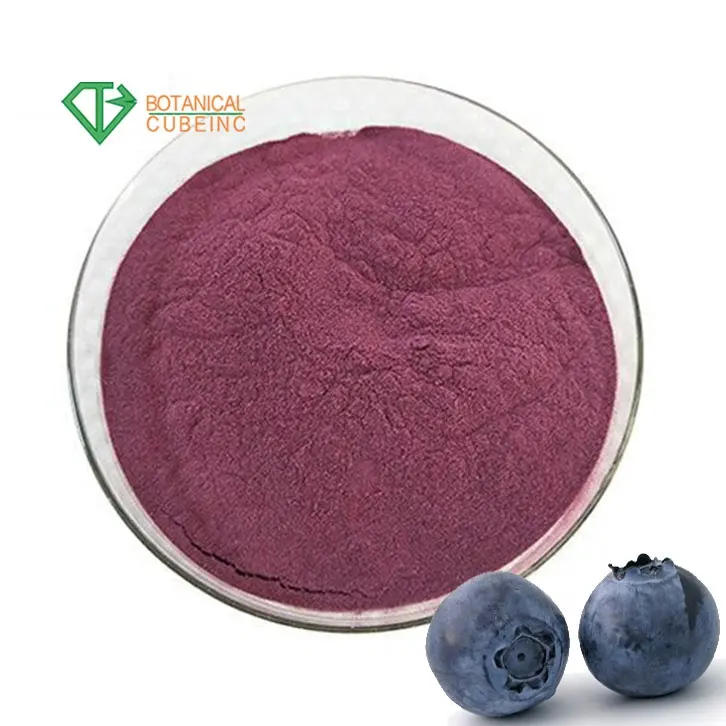 Functional drinks additives blueberry fruit extract powder supplement