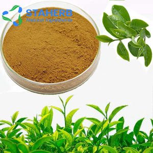 Extrato do chá verde Cianidanol Polifenóis EGCG <span class=keywords><strong>Camellia</strong></span> <span class=keywords><strong>Sinensis</strong></span> 98% Hplc - Product Image 6