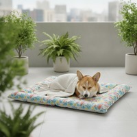 Tapis rafraîchissant pour animaux de compagnie, populaire pour l'été, anti-dérapant, rempli de gel, pour toutes les saisons, universel pour chat et chien
