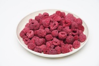 Groothandel FD Fruit Frambozenblokjes Zonder Toegevoegde Suiker Gezonde Snack in Bulk Vacuümverpakking Uit China